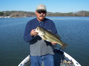 One of our better fish